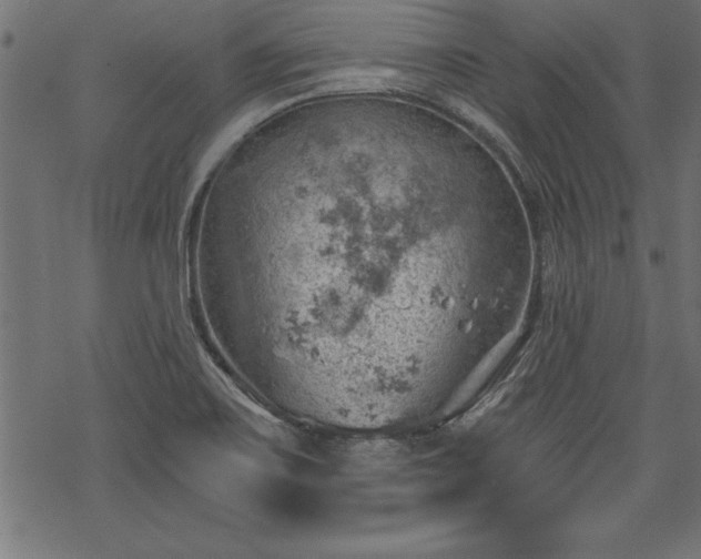 X0000068851467200605081202