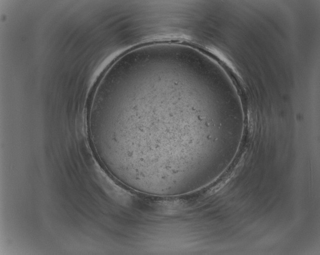 X0000068851468200605081202