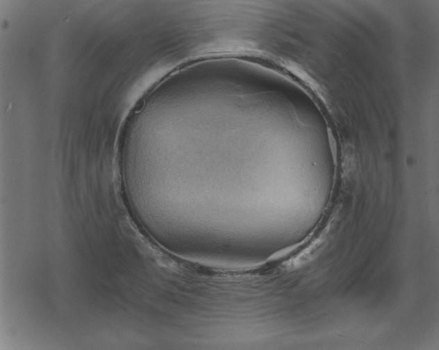 X0000068851469200605081202