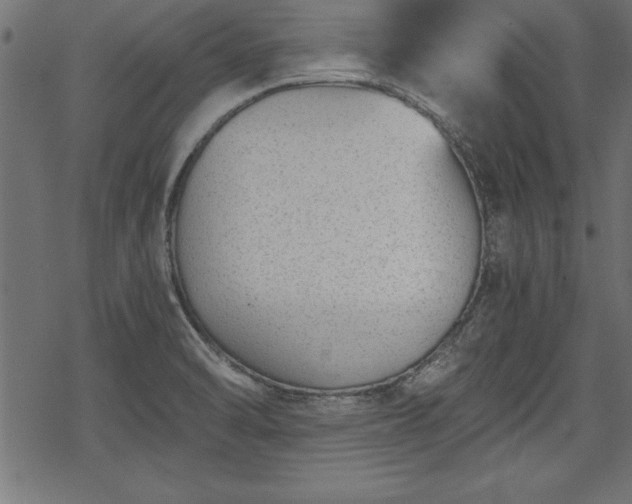 X0000068851470200605081202