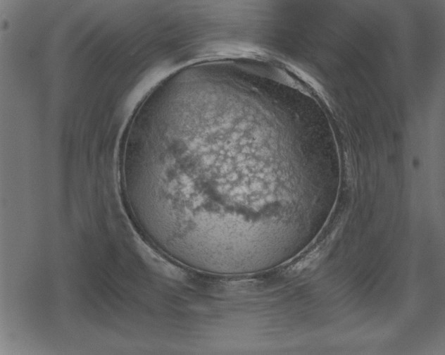 X0000068851471200605081202