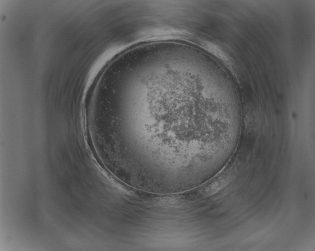 X0000068851472200605081202