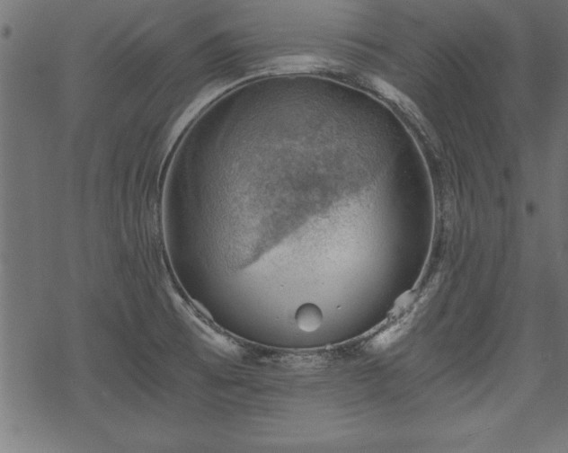 X0000068851473200605081202