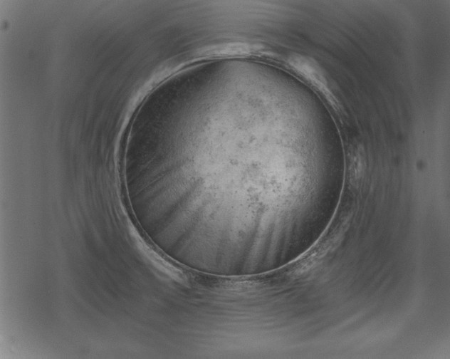 X0000068851475200605081202