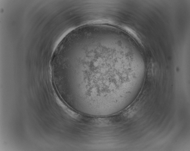 X0000068851476200605081202