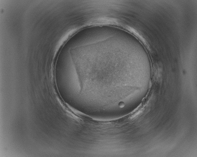 X0000068851477200605081202