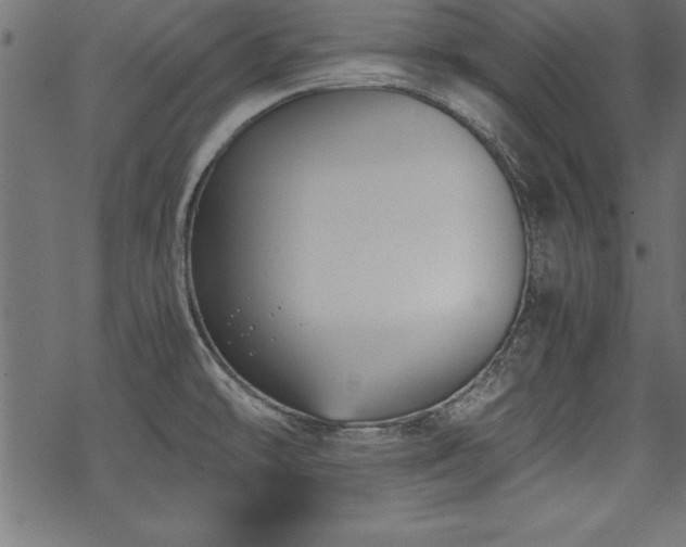 X0000068851478200605081202