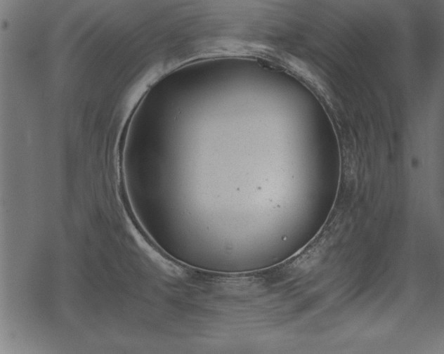 X0000068851479200605081202