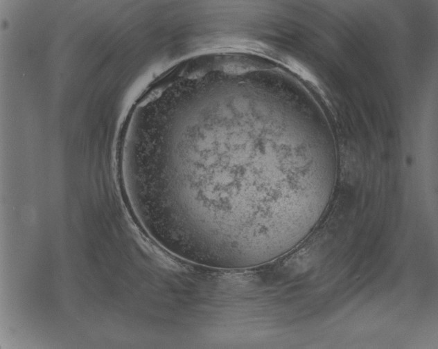 X0000068851480200605081202