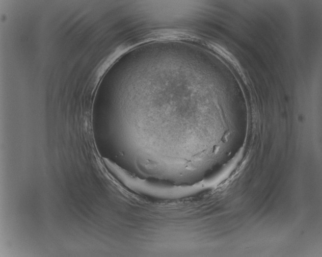 X0000068851481200605081202