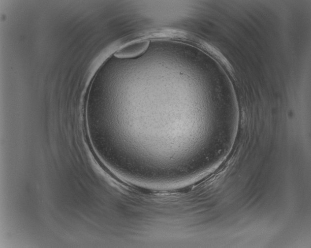 X0000068851483200605081202