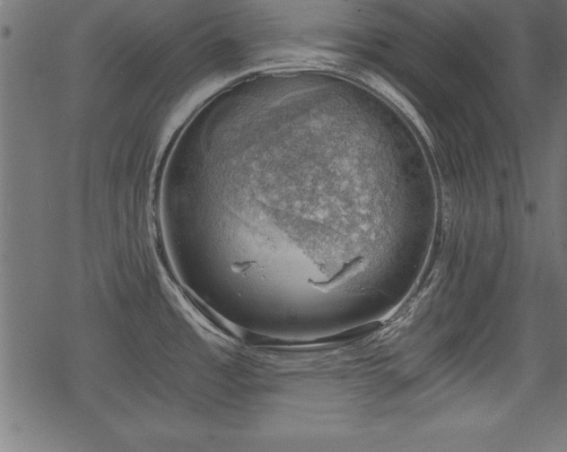 X0000068851485200605081202