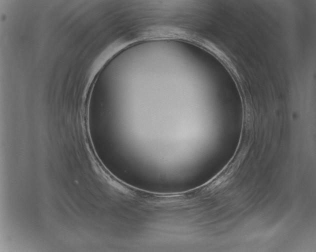 X0000068851486200605081202