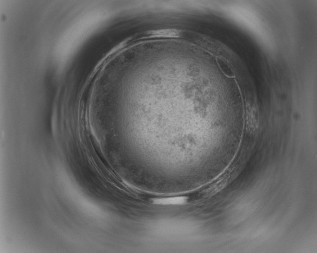 X0000068851487200605081202