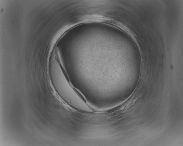 X0000068851488200605081202