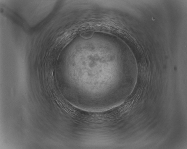 X0000068851489200605081201