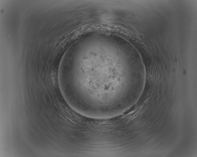 X0000068851490200605081201