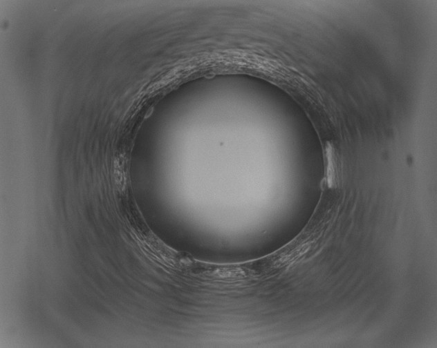 X0000068851491200605081201