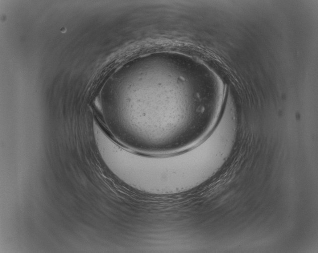 X0000068851492200605081201