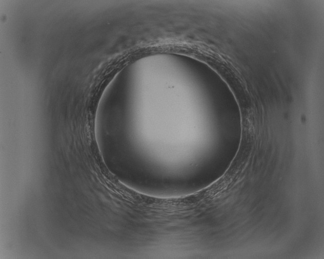 X0000068851493200605081201