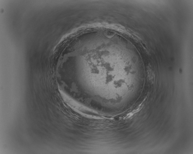 X0000068851494200605081201