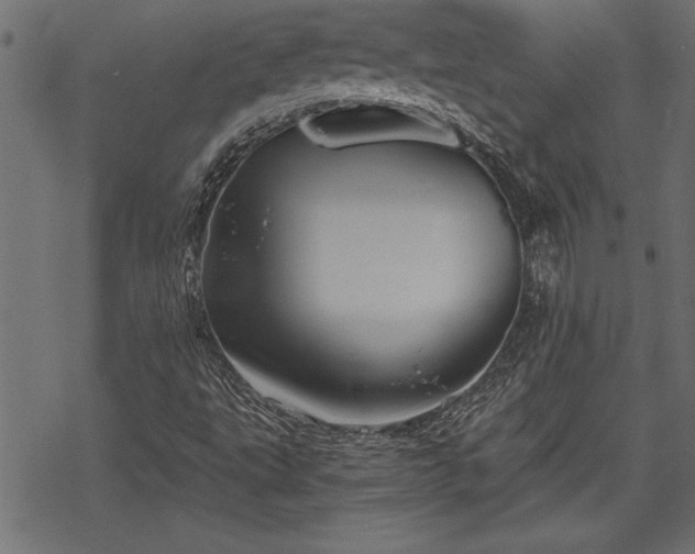 X0000068851495200605081201