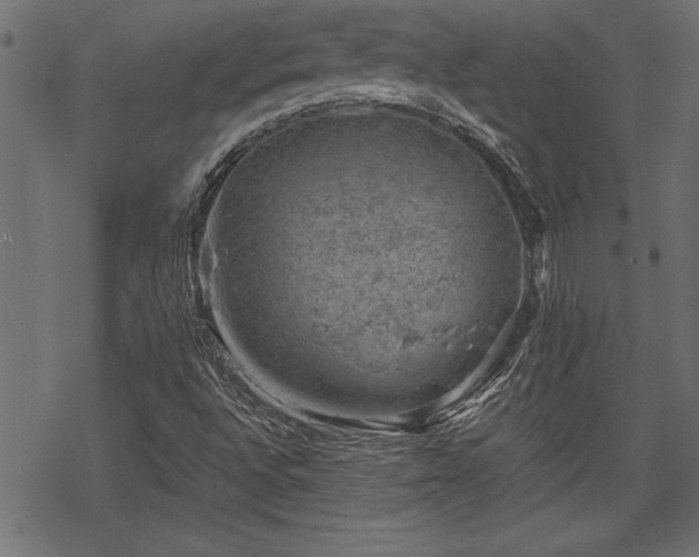 X0000068851496200605081201