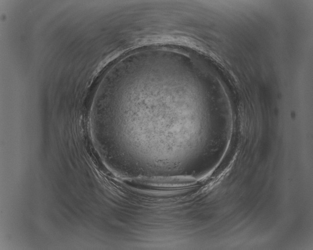 X0000068851497200605081201