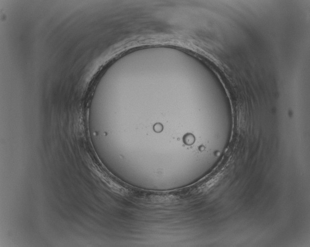 X0000068851498200605081201