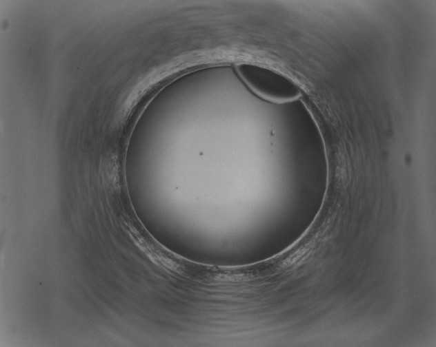 X0000068851499200605081201