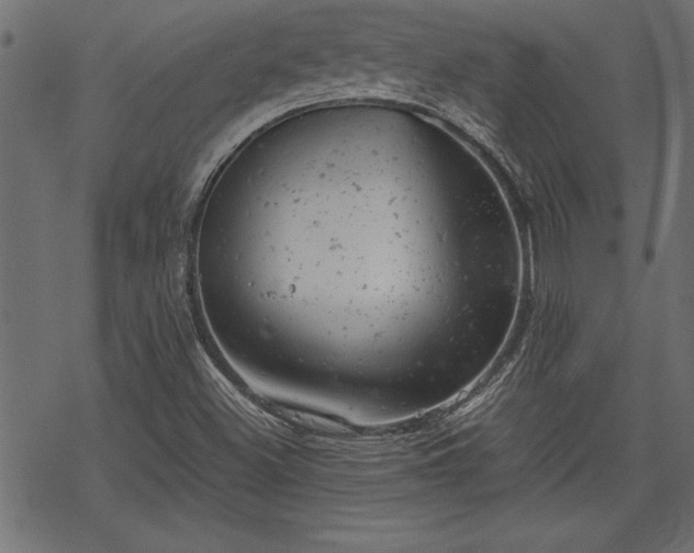 X0000068851500200605081201