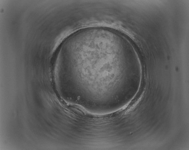 X0000068851501200605081201