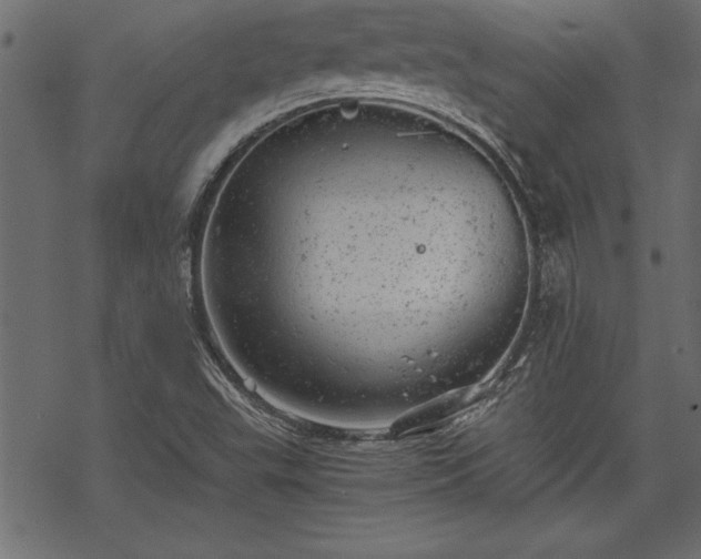 X0000068851503200605081201