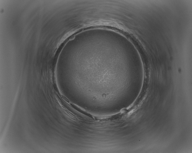 X0000068851505200605081201