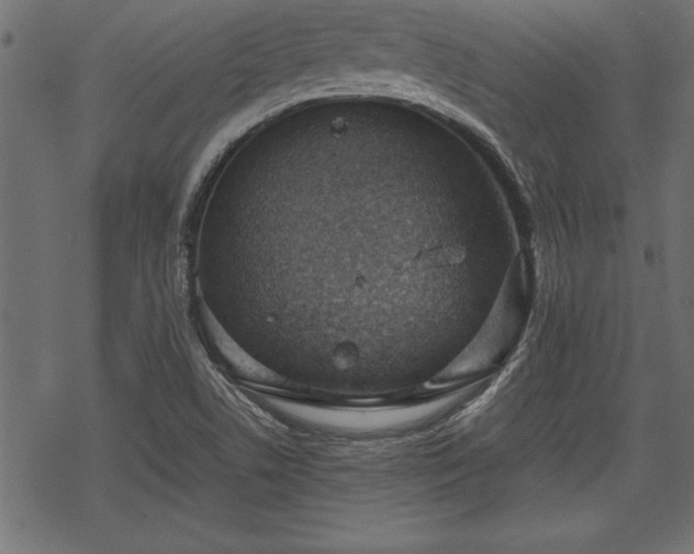 X0000068851506200605081201