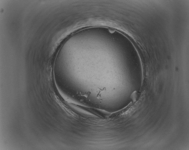 X0000068851507200605081201