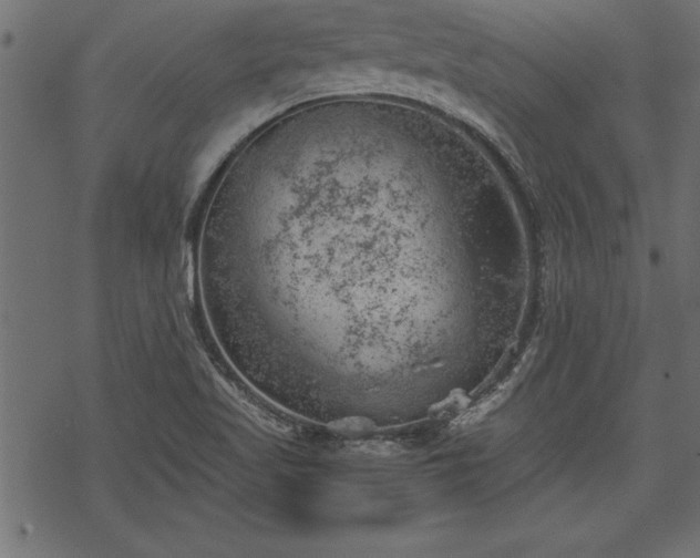 X0000068851509200605081201