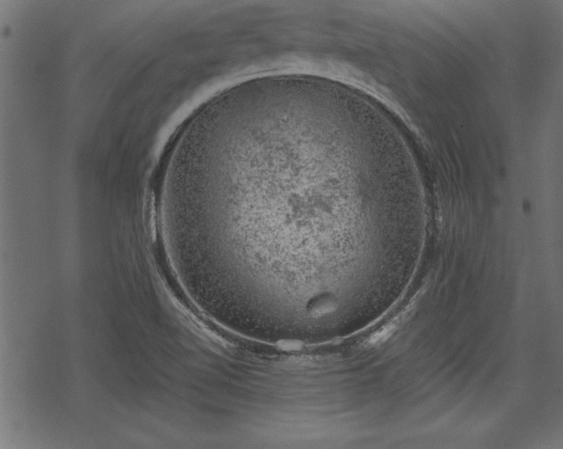 X0000068851510200605081201