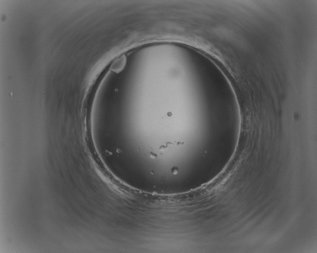 X0000068851511200605081201