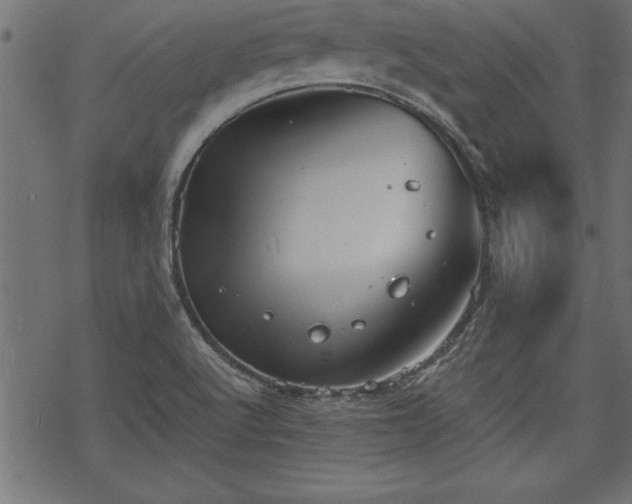 X0000068851512200605081201