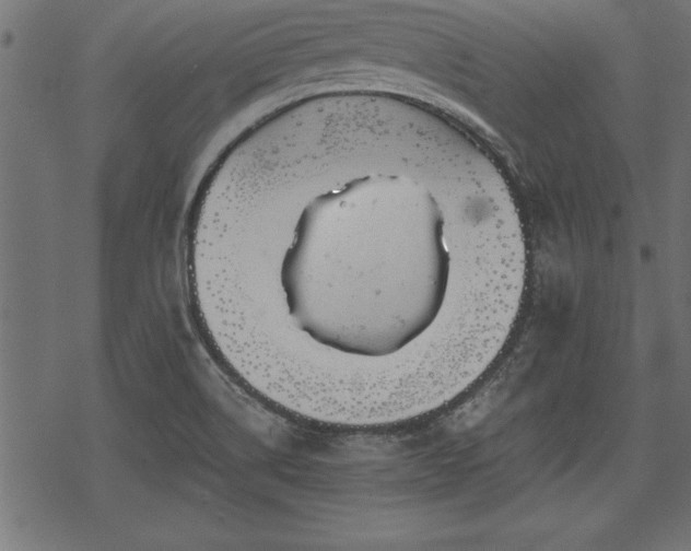 X0000068851514200605081202