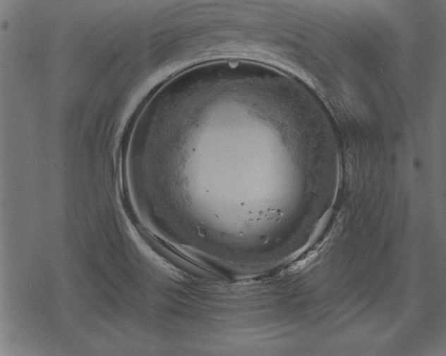 X0000068851515200605081202