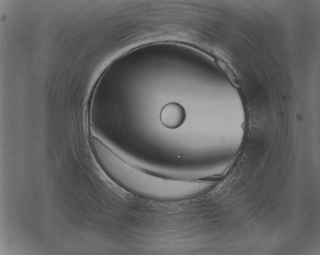 X0000068851516200605081202