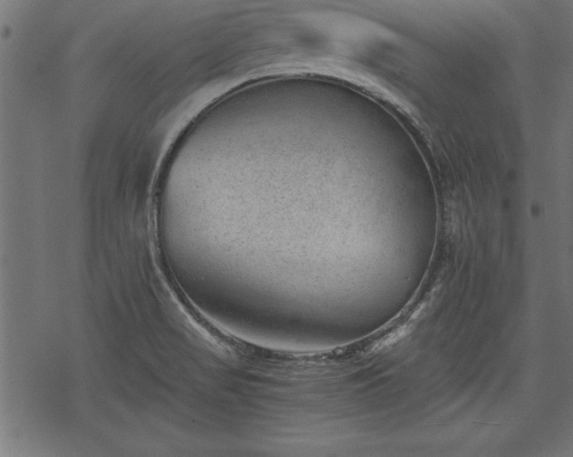 X0000068851517200605081202