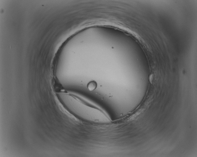 X0000068851518200605081202