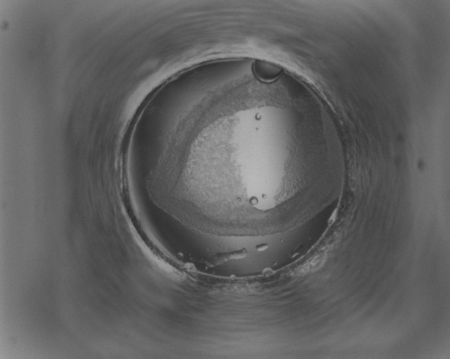 X0000068851519200605081202