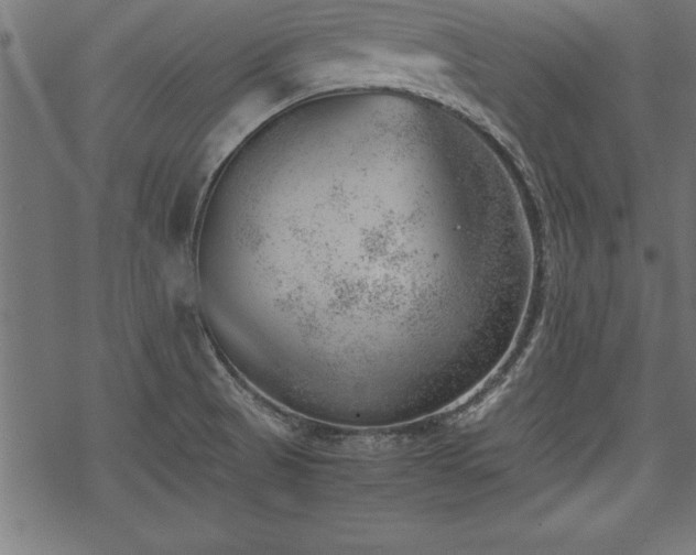 X0000068851521200605081202