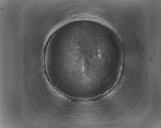 X0000068851522200605081202