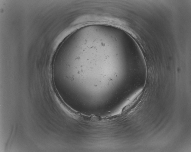 X0000068851523200605081202