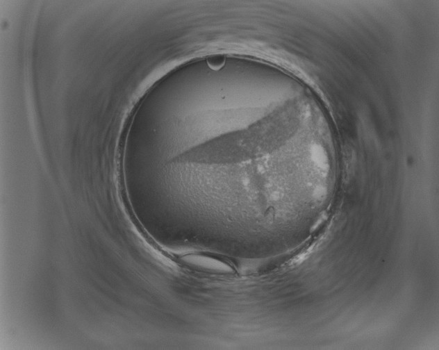 X0000068851525200605081202